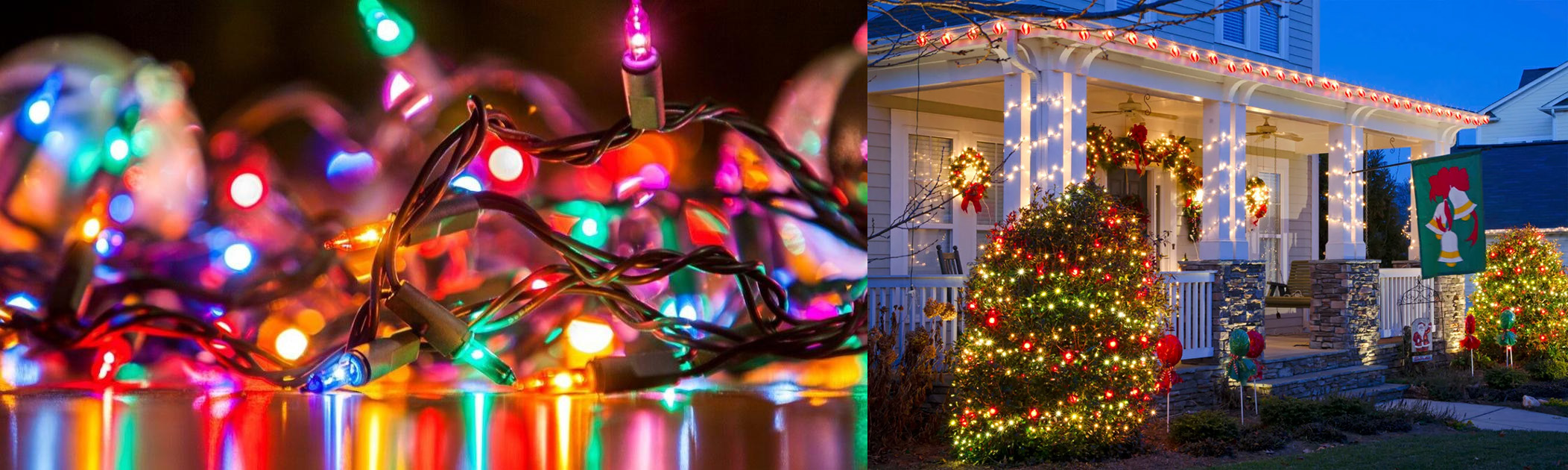 Christmas Light Store 1 Christmas Light Store -Christmas Light Store 1