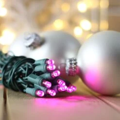 50-light 5mm Purple LED Christmas Lights, 6" Spacing Green Wire -Christmas Light Store 5mm Purple LED Christmas lights 082718 20 281 29 10b9aba2 a424 477c 985c e0ead08812cc