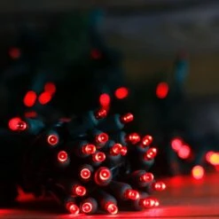 50-light 5mm Red LED Christmas Lights, 4" Spacing Green Wire 12 50-light 5mm Red LED Christmas Lights, 4" Spacing Green Wire -Christmas Light Store 5mm red led christmas lights 0923a 20 281 29