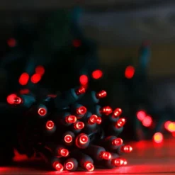 50-light 5mm Red LED Christmas Lights, 6" Spacing Green Wire -Christmas Light Store 5mm red led christmas lights 0923a 20 281 29 67d5d58f 9789 415b 944f 4eacf5c7d6e9