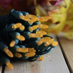 50-light M5 Orange LED Christmas Lights, 4" Spacing Green Wire -Christmas Light Store M5 orange LED Christmas lights 9418b 20 281 29