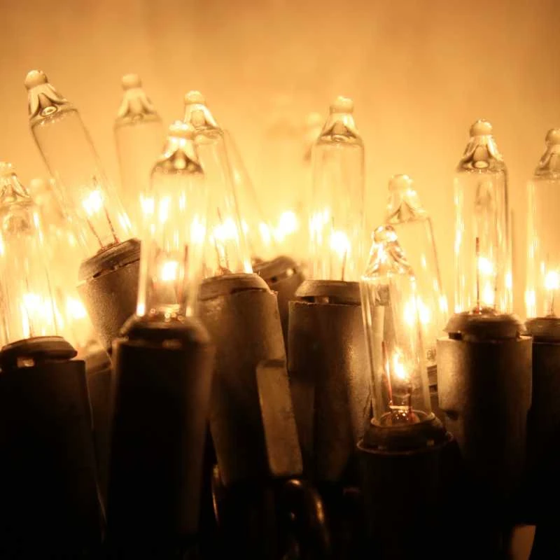 100-bulb Clear MiniLights, 4" Spacing Black Wire 3 100-bulb Clear MiniLights, 4" Spacing Black Wire - Image 3