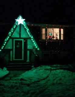 Christmas Light Store -Christmas Light Store green led chrismtas lights review photo