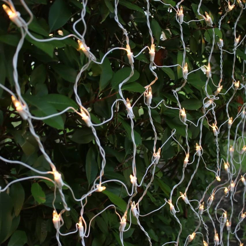 150-bulb Clear Net Lights, White Wire 2 150-bulb Clear Net Lights, White Wire - Image 2