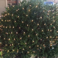 150-bulb Clear Net Lights, Green Wire -Christmas Light Store net light incandescent shrub 112217