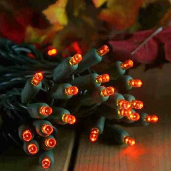 50-light 5mm Orange LED Christmas Lights, 4" Spacing Green Wire 3 50-light 5mm Orange LED Christmas Lights, 4" Spacing Green Wire - Image 3