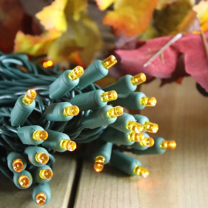 50-light 5mm Orange LED Christmas Lights, 4" Spacing Green Wire 4 50-light 5mm Orange LED Christmas Lights, 4" Spacing Green Wire - Image 4