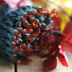 100-bulb Orange Mini Lights, 6" Spacing, Green Wire -Christmas Light Store orange christmas lights 9518 95ac086c c2bb 492f 9323 bc4285212a71