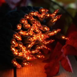 100-bulb Orange Mini Lights, 4" Spacing, Green Wire -Christmas Light Store orange christmas lights 9518c b525c378 93ea 4a41 9264 dd6e6ed21d8e
