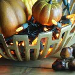 50-light M5 Orange LED Christmas Lights, 4" Spacing Green Wire -Christmas Light Store orange m5 LED christmas lights 101818