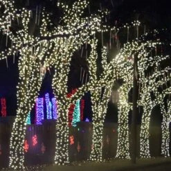 50-light M5 Warm White LED Christmas Lights, 4" Spacing Green Wire 7 50-light M5 Warm White LED Christmas Lights, 4" Spacing Green Wire -Christmas Light Store pure white led christmas lights green wire 122617