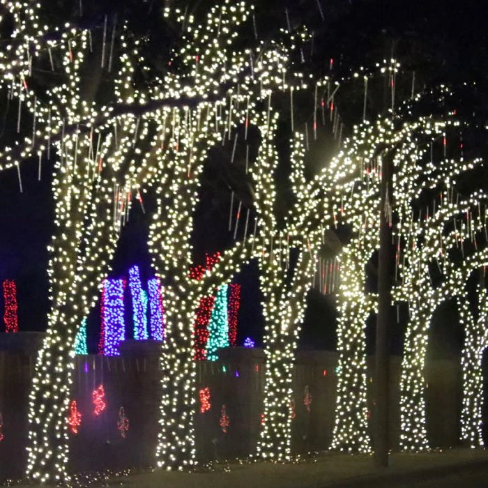 50-light M5 Warm White LED Christmas Lights, 4" Spacing Green Wire 3 50-light M5 Warm White LED Christmas Lights, 4" Spacing Green Wire - Image 3