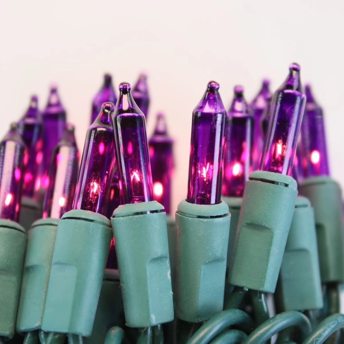 100-bulb Purple Mini Lights, 6" Spacing, Green Wire 1 100-bulb Purple Mini Lights, 6" Spacing, Green Wire