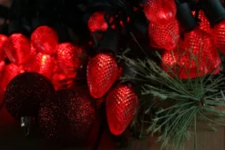 25-light C7 Red LED Christmas Lights, 8" Spacing Green Wire -Christmas Light Store red c7 led christmas lights 080518a