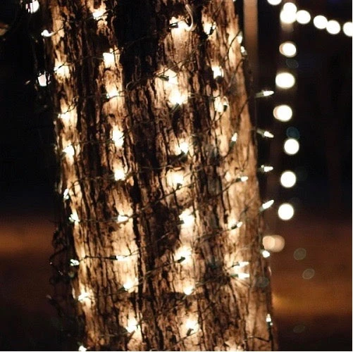 150-bulb 8' Clear Tree Trunk Net Lights, Brown Wire 1 150-bulb 8' Clear Tree Trunk Net Lights, Brown Wire