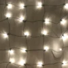 100-light Warm White 5mm LED Net Lights, Green Wire