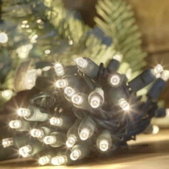 50-light 5mm Warm White LED Christmas Lights, Green Wire 6" Spacing 8 50-light 5mm Warm White LED Christmas Lights, Green Wire 6" Spacing -Christmas Light Store warm white green wire led christmas lights 5mm