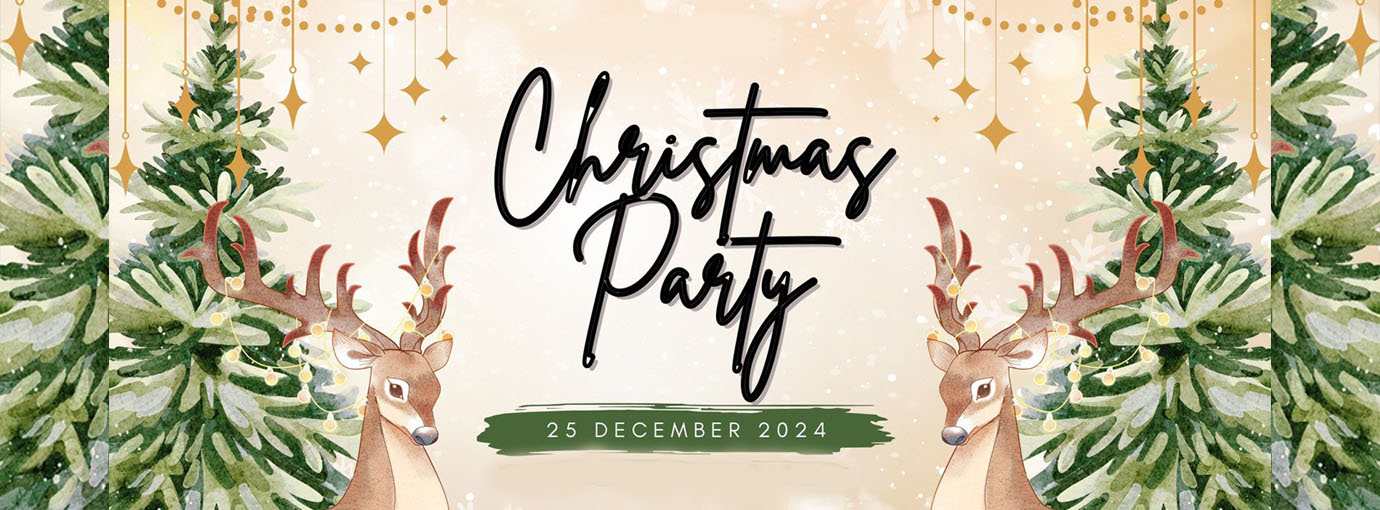 Christmas Light Store -Christmas Light Store 21